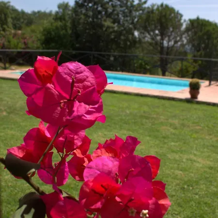 Casa De La Senda Vakantiehuis Candeleda